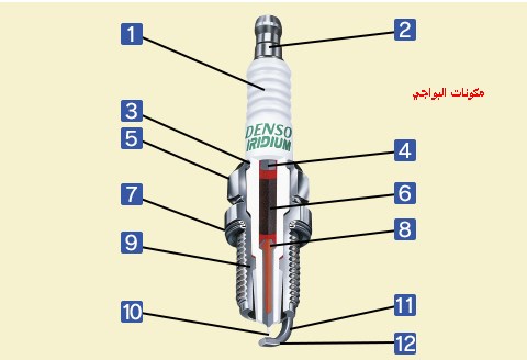 البواجي